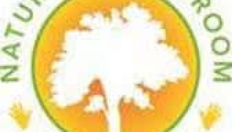 Nature's Classroom Institute Logo (1)