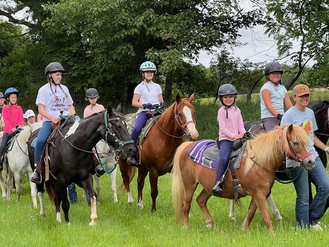 Erin Meadows Farm 2026