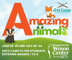 Wilson Center Arts Camp Lake Country 2026