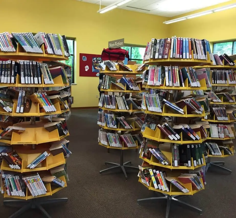 Delafield Public Library Carousel