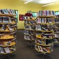 Delafield Public Library Carousel