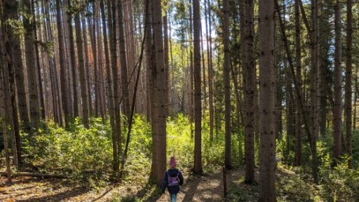 Retzer Nature Center Waukesha