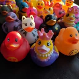 duck rabbit adventure walk