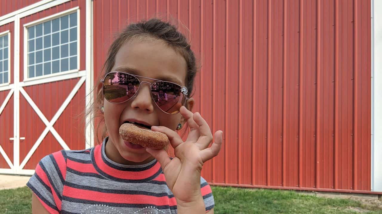 Fall Laikin apple donut weekend