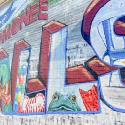 Menomonee Falls Mural - Art