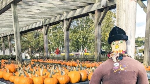 Lake Country Family Fun Fall Weekend Pumpkins Scarecrow