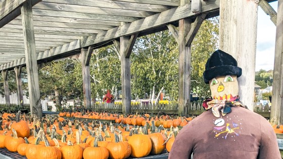 Lake Country Family Fun Fall Weekend Pumpkins Scarecrow Lake Country Family Fun Fall Weekend Pumpkins Scarecrow