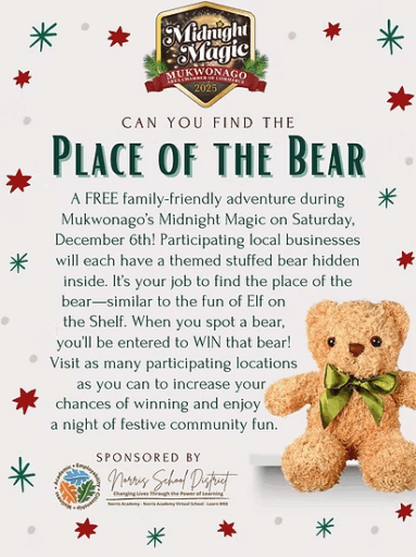 Midnight Magic Mukwonago Teddy Bear