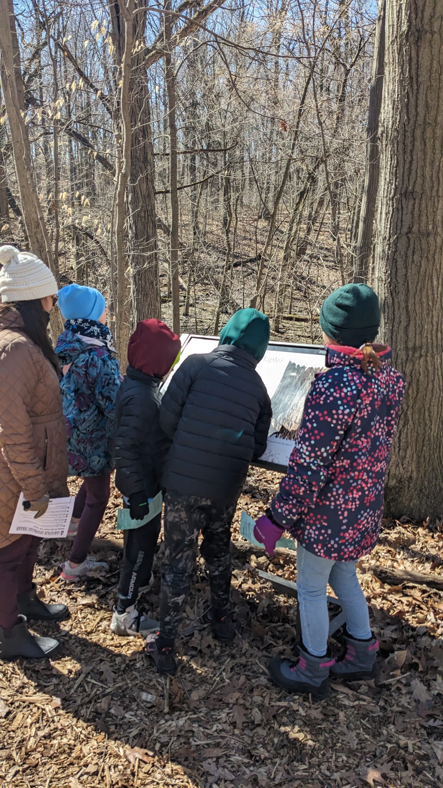 Wehr Maple Sugar Days