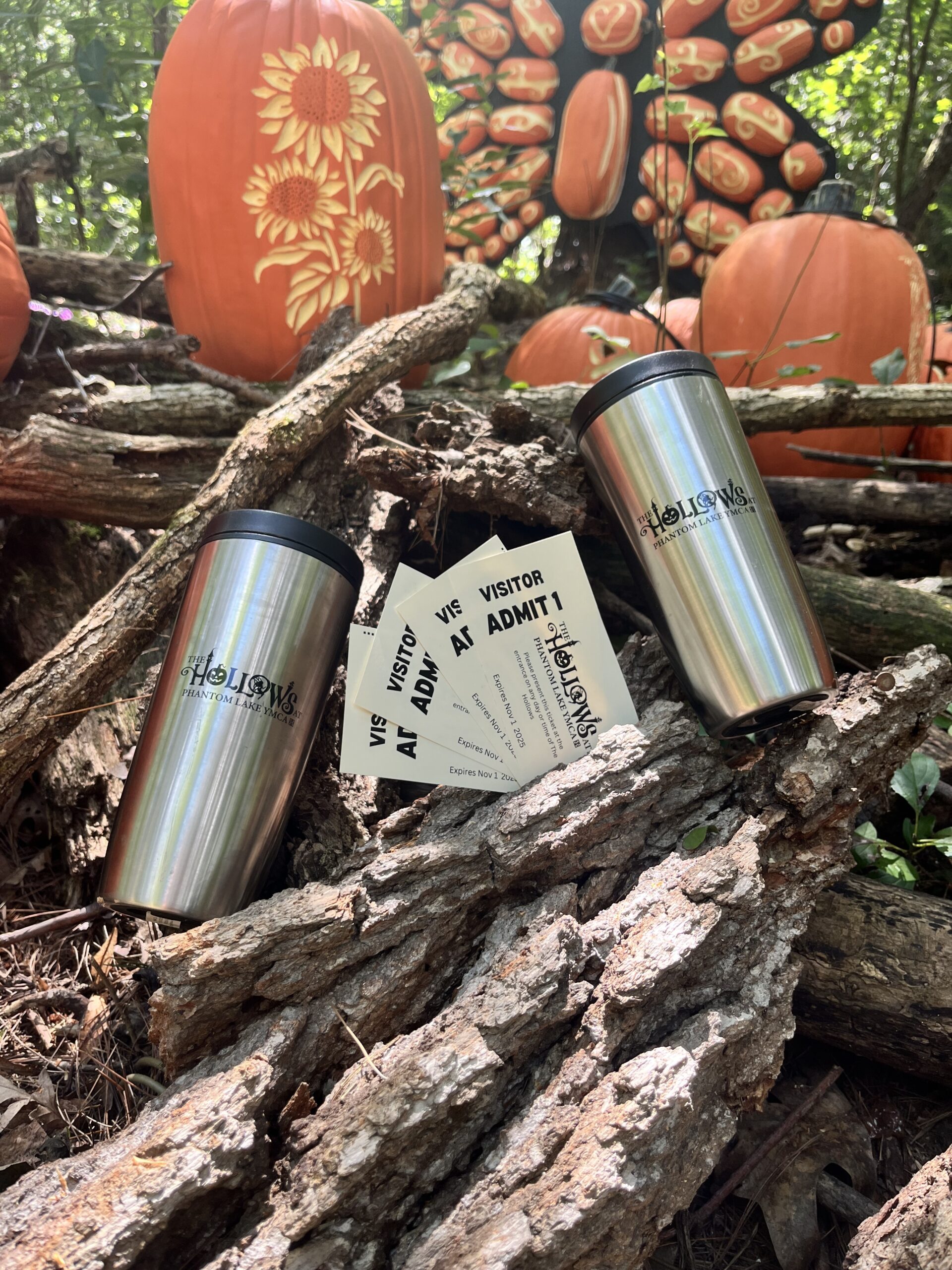 The Hollows at Phantom Lake Giveaway 2