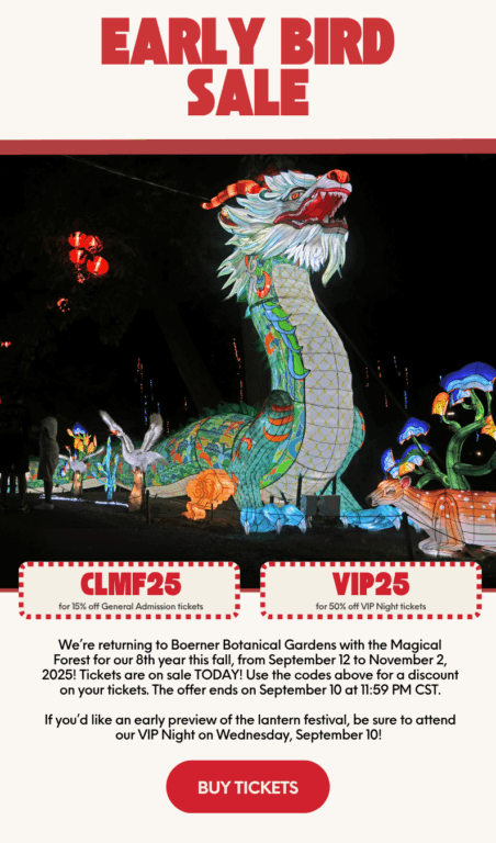 China Lights Promo