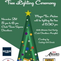 City of Delafield Tree Lighting