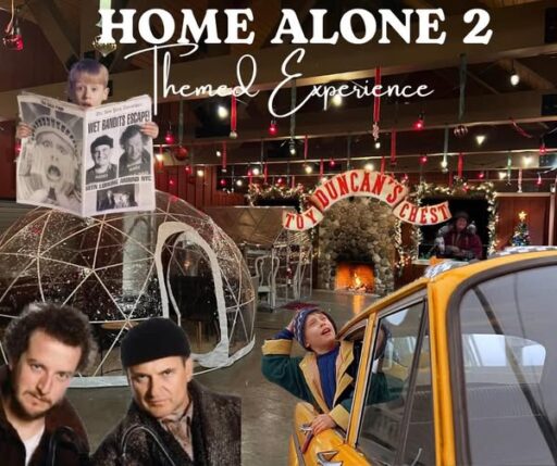 Home Alone 2 Experience