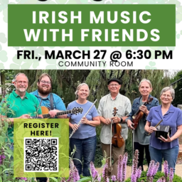 Ceol Cairde: The Energy and Spirit of Irish Music