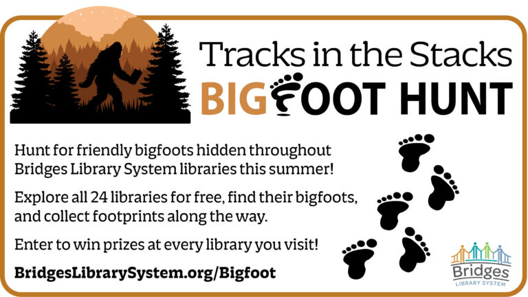 bridges library ad summer 2026
