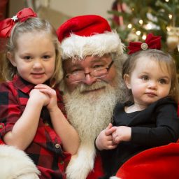 Hartland Lights 2017
