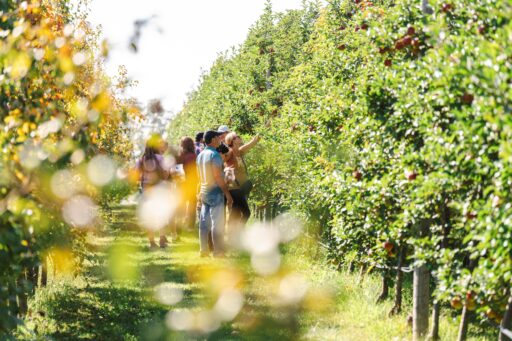 Peck And Bushel 2026 Apple Guide Sponsor AD